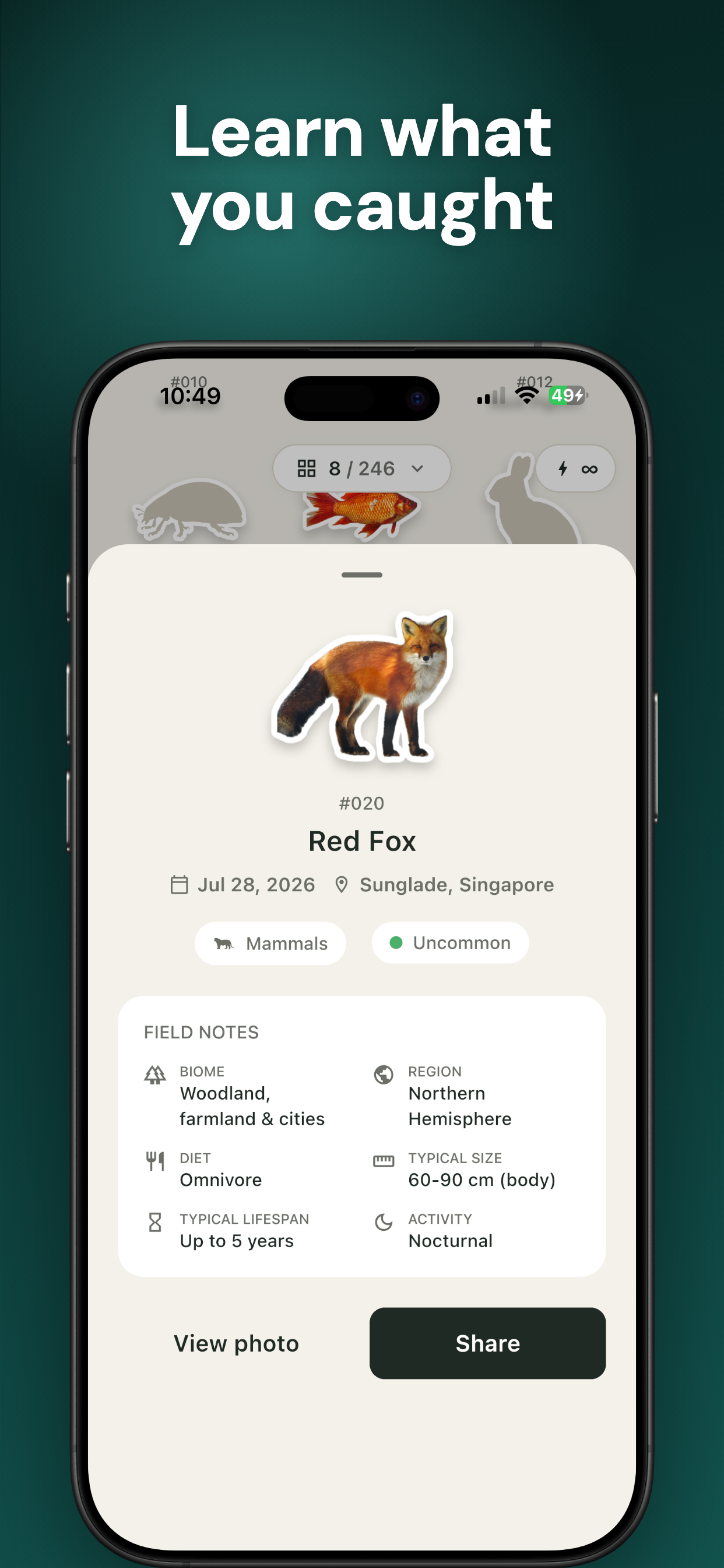 Catchling: Animal Identifier. screenshot 2