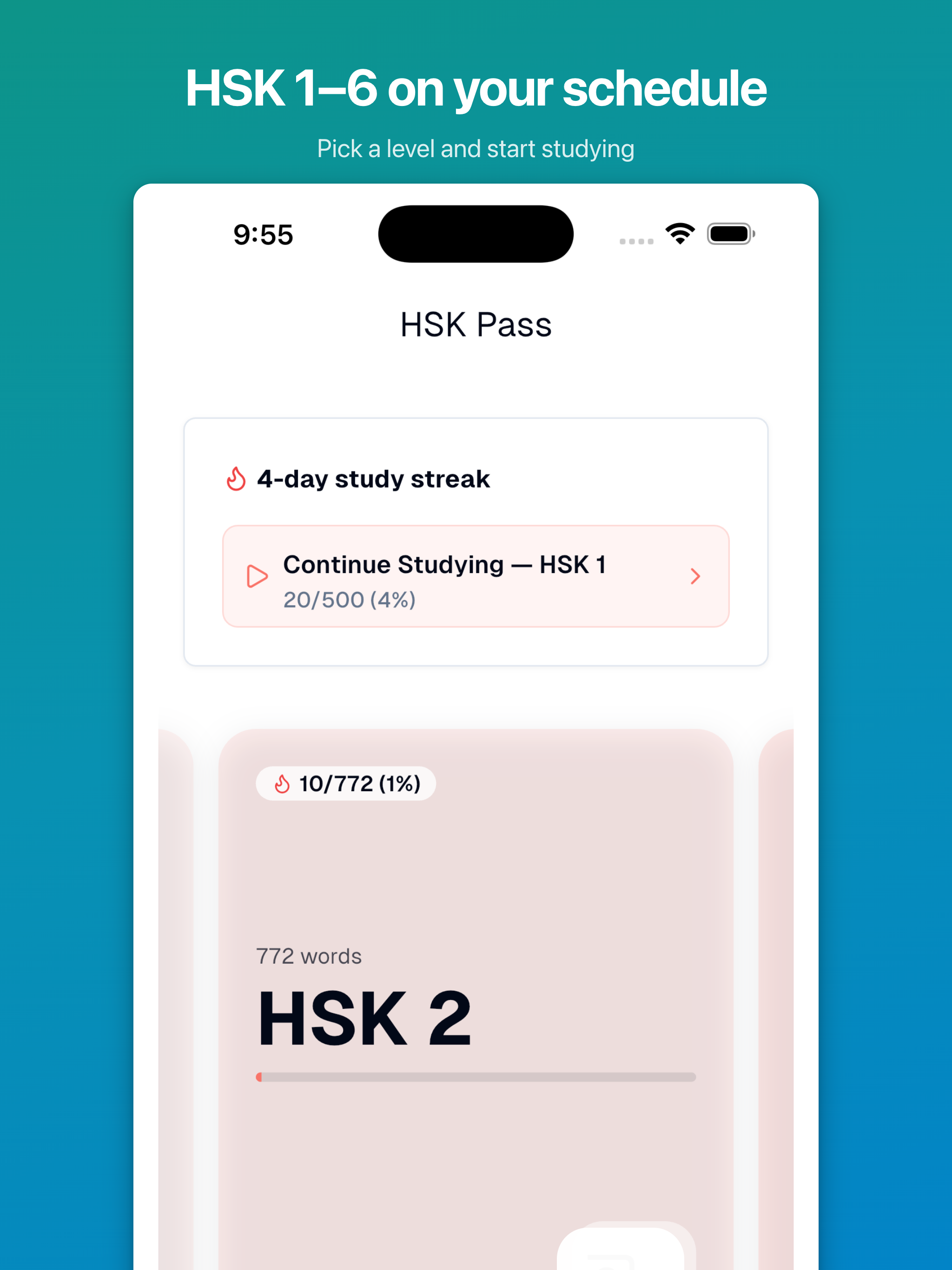 HSK Pass screenshot 8