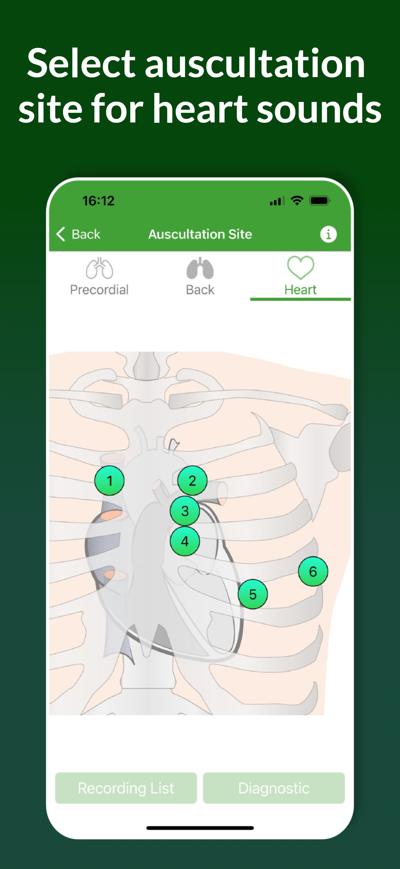 Auscultation Sound Recording