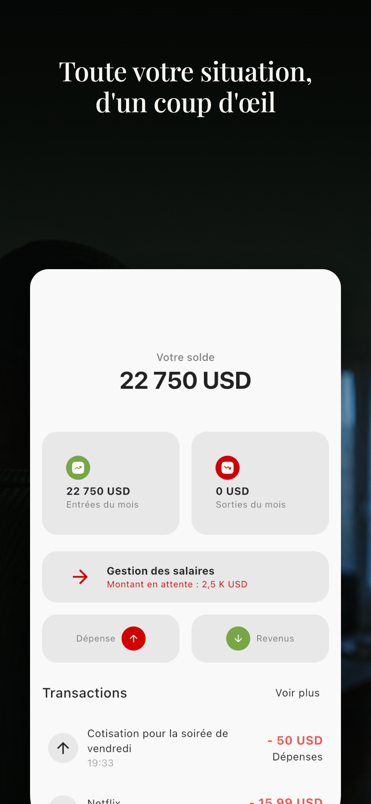 Bicount screenshot 2