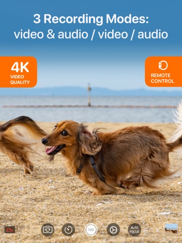 Video Buffer Action Camera iPad screenshot