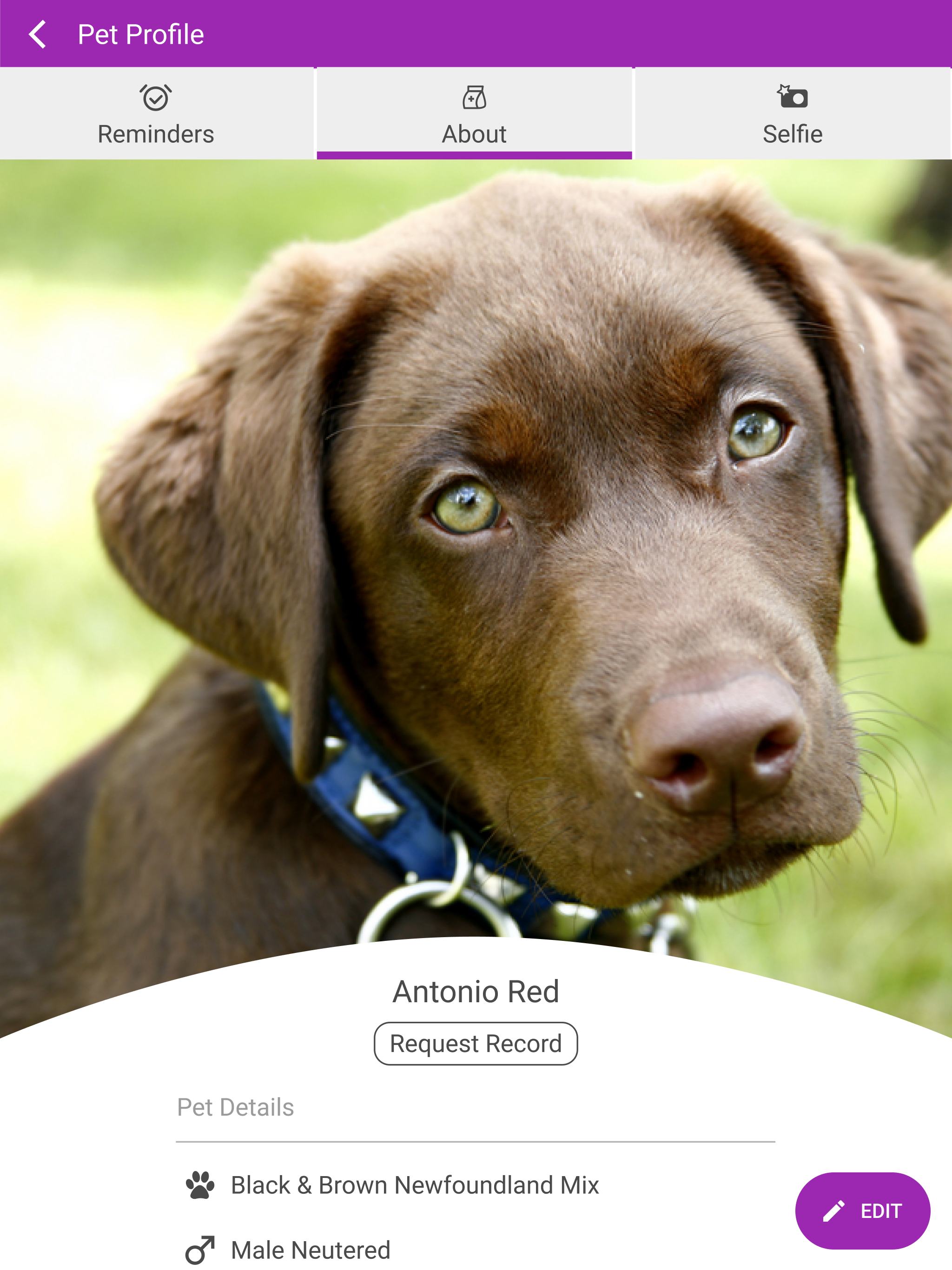 The Mobile Animal Clinic screenshot 8