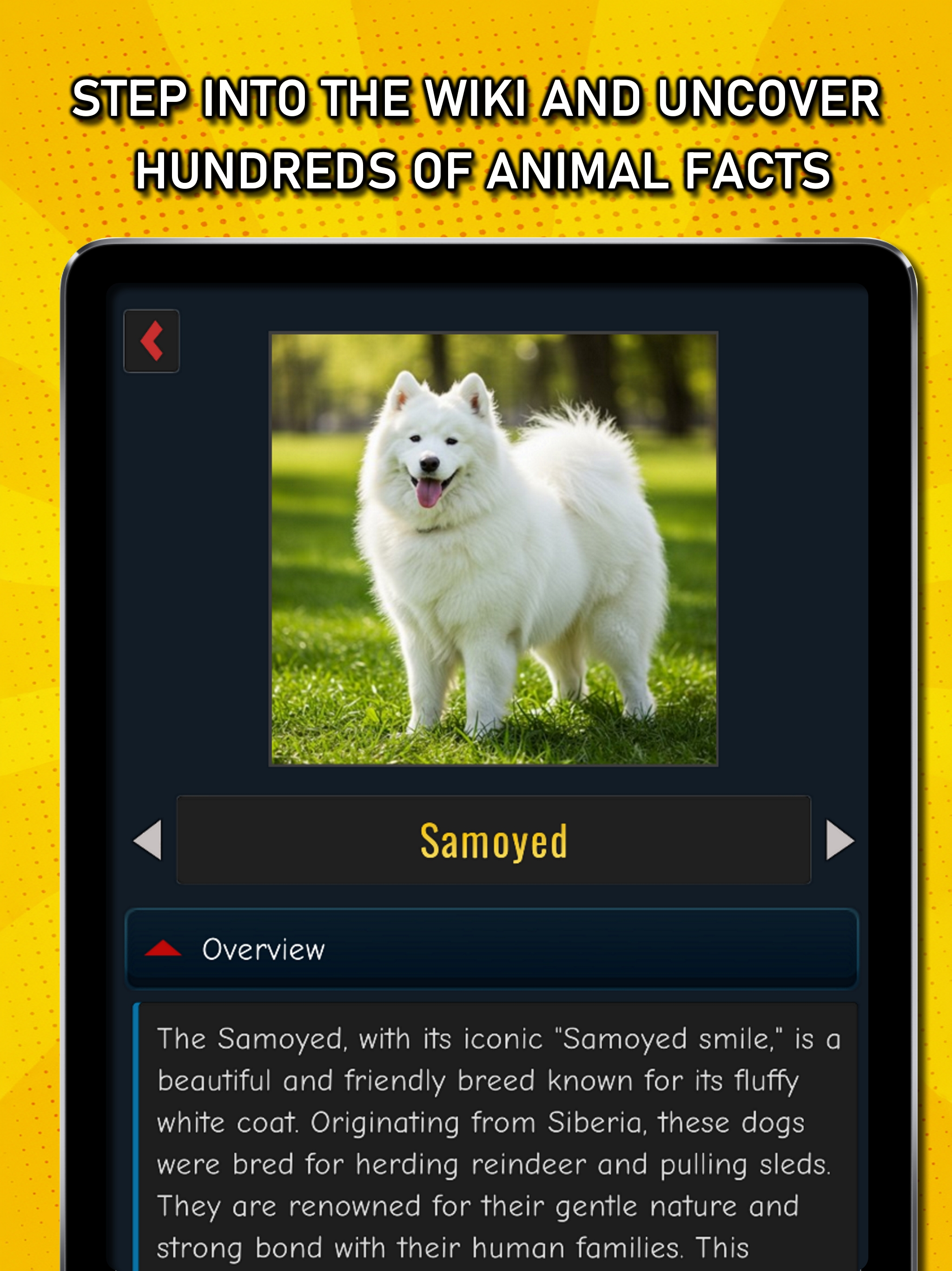 Eugene's AR Wiki: Play & Learn screenshot 12