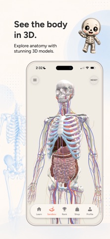 Anato - Learn Anatomy Fast Screenshot 1 of 8