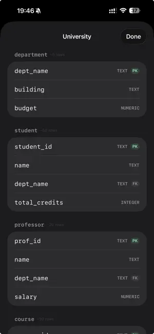 SQLearn - Mobile SQL Learning screenshot 3