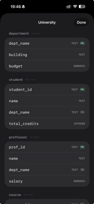 SQLearn - Mobile SQL Learning screenshot 3