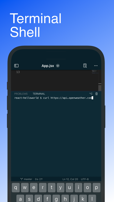 Code - Editor Git and Terminal Screenshot