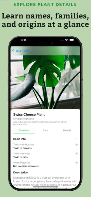 Plant Identifier: Leaflet screenshot 2