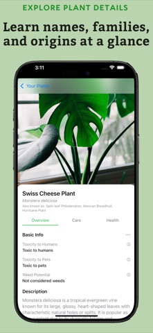 Plant Identifier: Leaflet Screenshot 2 of 4