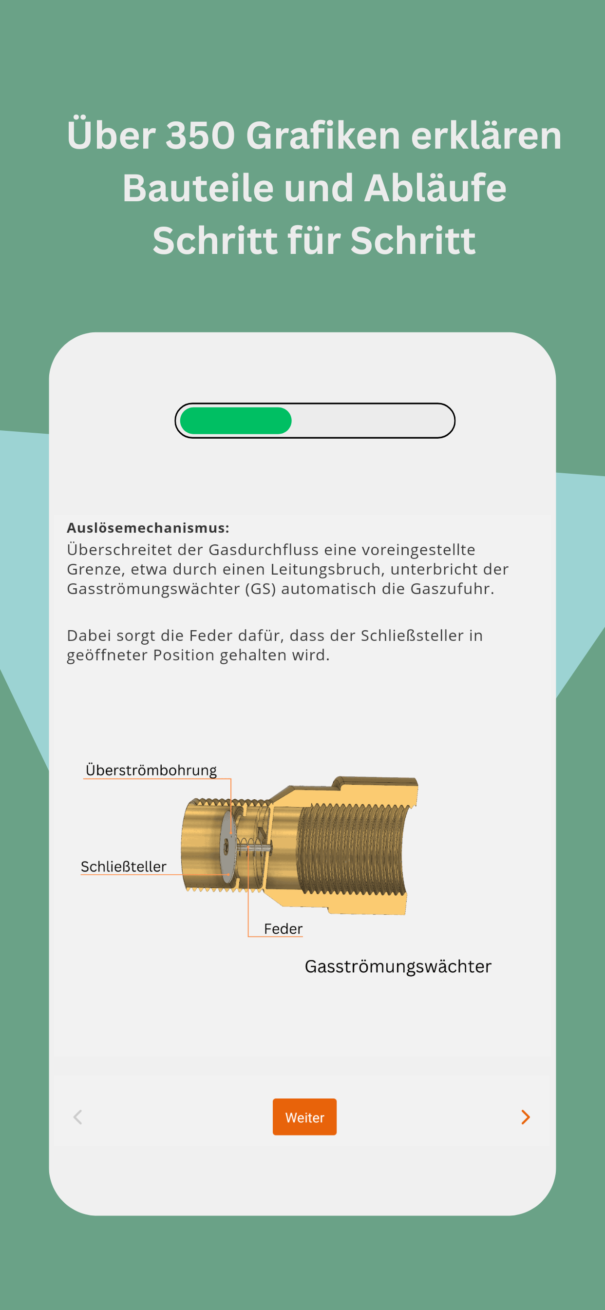 SkiltSHKBasic