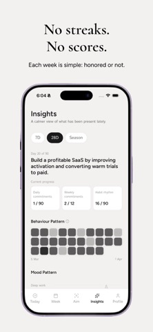 Padool: 90-Day Focus System screenshot