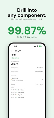 Pulsar: API Status Monitor screenshot 3