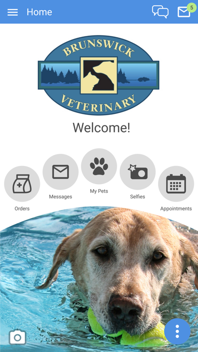 Brunswick Veterinary Clinic Screenshot