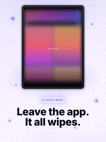 Single Tab - Private Browser iPad screenshot