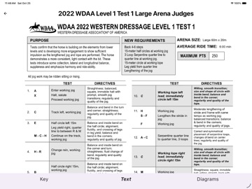 2022 WDAA Judges Diagrams iPad screenshot