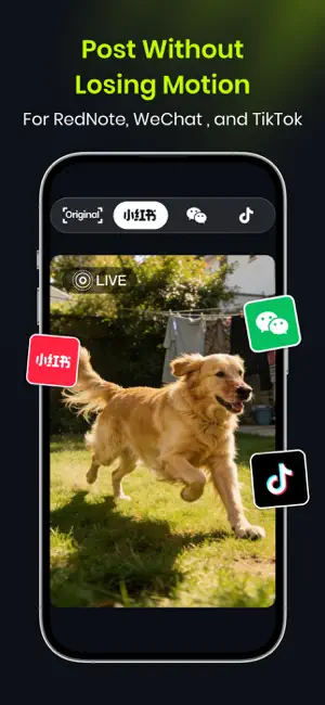 Video to Live Wallpaper HD screenshot 2