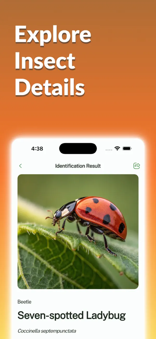 #4. Bug Identifier: Spider (iOS) By: FAMO Connect LLC