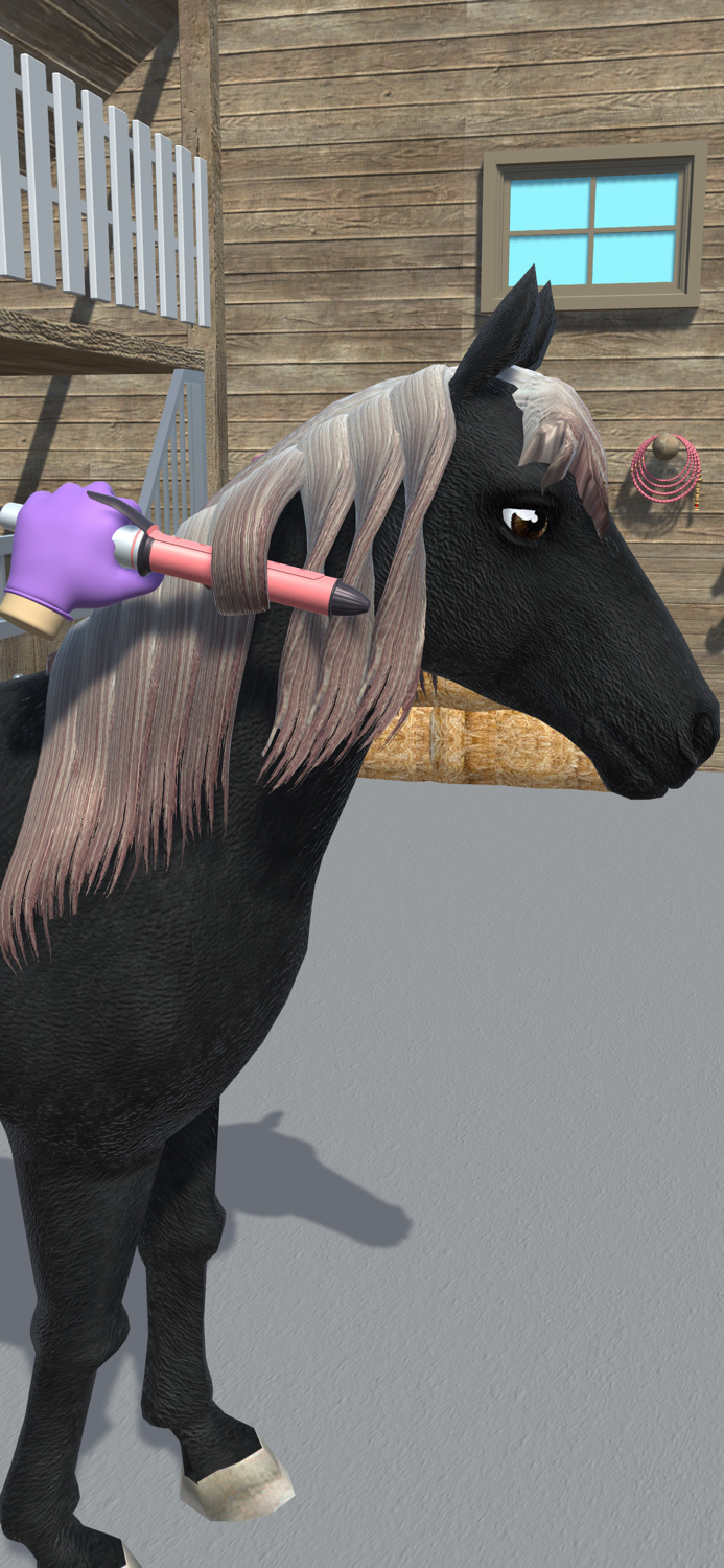 Horse Care Beauty Salon