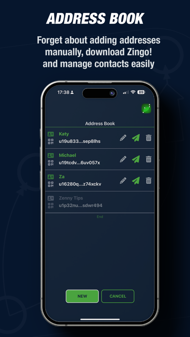 Zingo! Screenshot