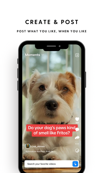 Flow: Post a video Screenshot