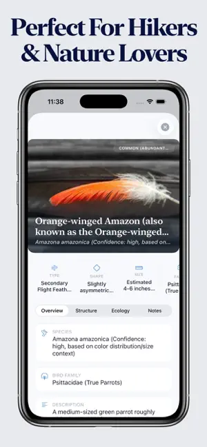 Feather Identifier screenshot 2