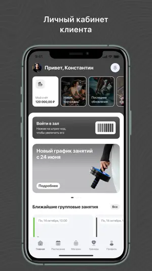 РЕ:ФЛЕКС screenshot 1