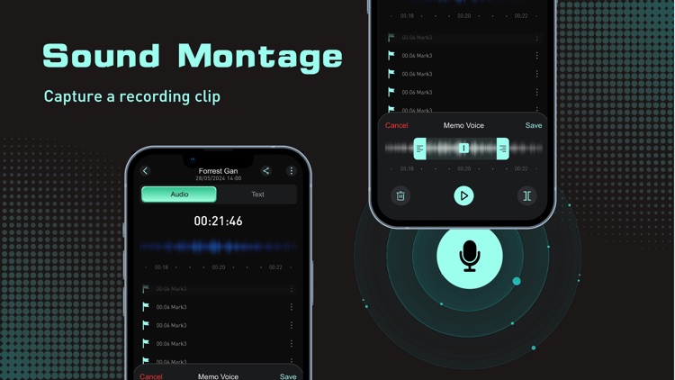 AI Voice Changer & Transcribe