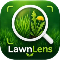 LawnLens：草坪识别器