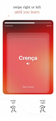 Vocab. Language Cards screenshot