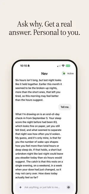 Nev AI screenshot 2