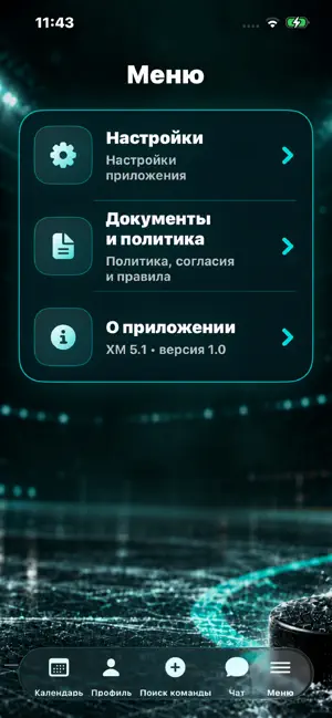 Хоккейный менеджер ХМ 5.1 screenshot 2