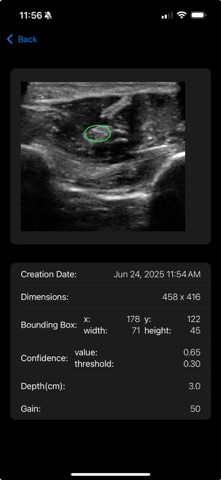 MSK VUE screenshot