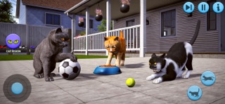 Cute Kitten Pet Cat Simulator Screenshot 5 of 6