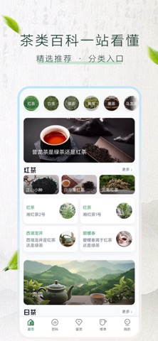 悟到茶鉴 screenshot