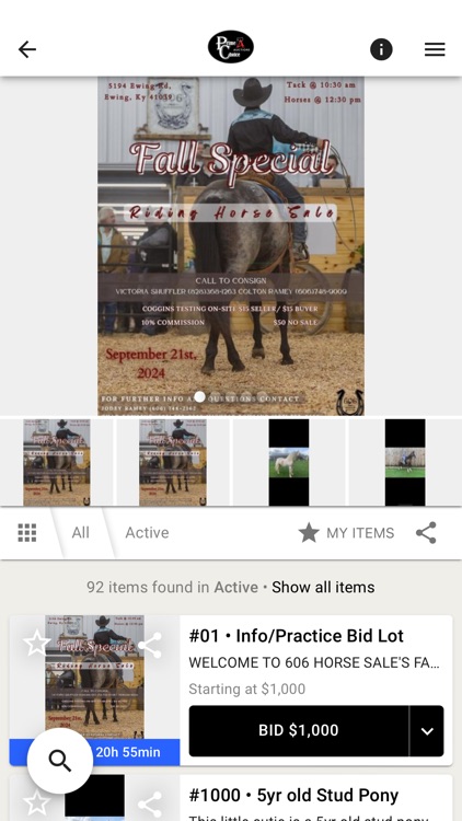 The Loranda Group, Inc. screenshot-6