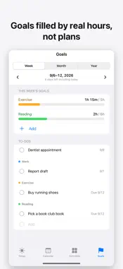 Sync: Plan & Actual screenshot 6