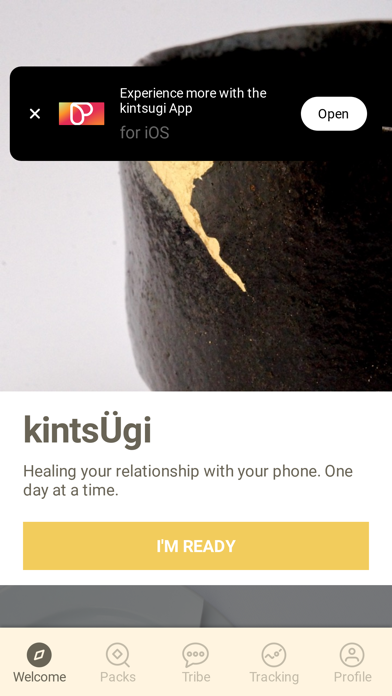 kintsÜgi Screenshot