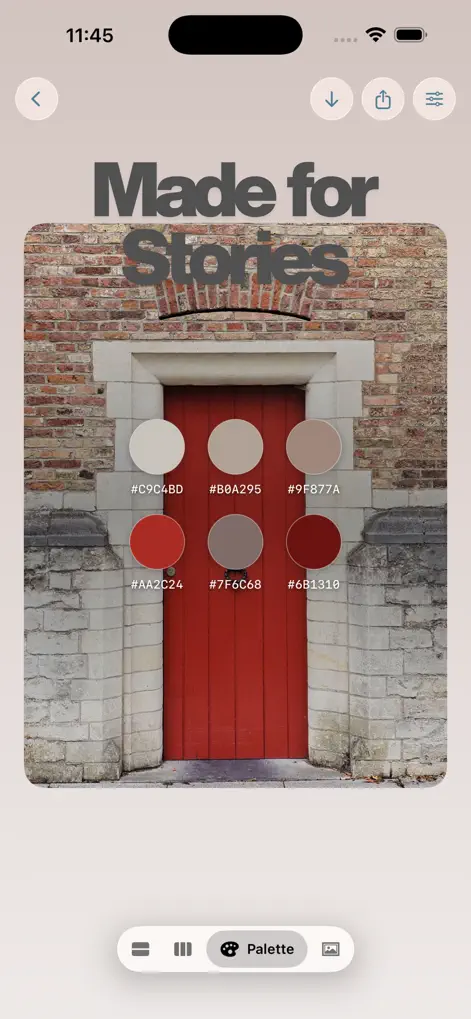 Photo Color: Palette Generator - Graphics & Design App | MWM