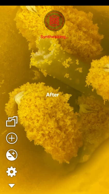 TASO Focus for microscopes