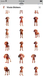vizsla stickers problems & solutions and troubleshooting guide - 4