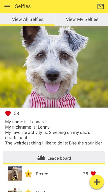 Gulfshore Animal Hospital screenshot-3