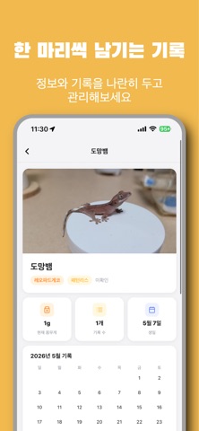 도키도키 - 파충류 성장 기록과 커뮤니티 iPhone screenshot