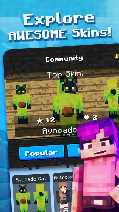 Skin Craft for Minecraft Skins Screenshot