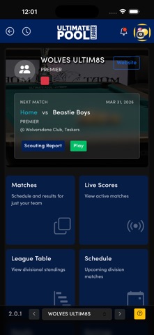 Ultimate Pool League screenshot