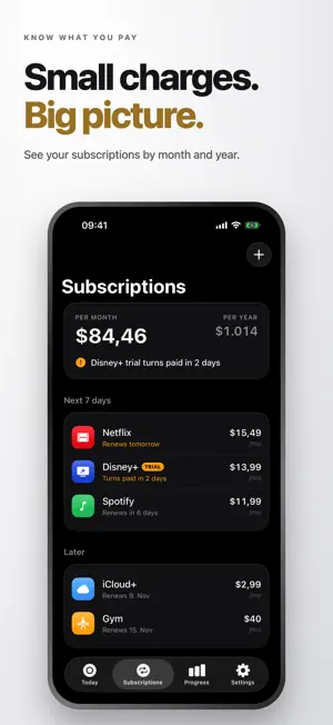 No Spend Today screenshot 3