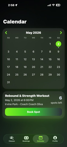 BounceEvolve Screenshot 3 of 4
