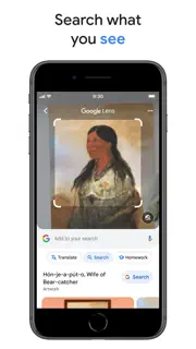 Google screenshot 6