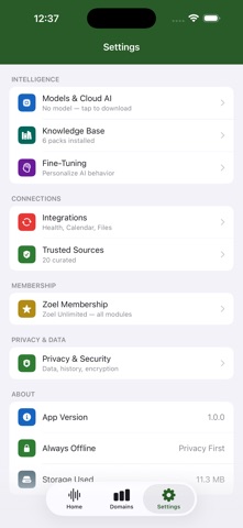 Zoel AI screenshot
