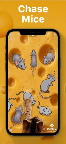 CatSwipe: Catch Mouse & Fish Screenshot 2 of 8