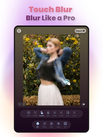 Blur Photo Editor: Face & Text iPad screenshot 5
